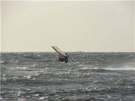 Ricketts Point Afternoon Session 16/01/09