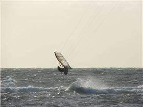 Ricketts Point Afternoon Session 16/01/09