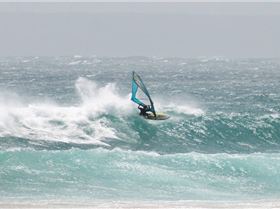 Don't miss this years titles!