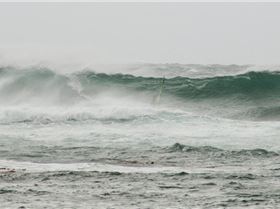 Don't miss this years titles!