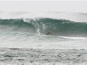 Don't miss this years titles!