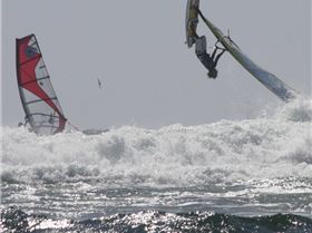 Green Head- WindShack  Wave Classic