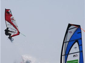 Green Head- WindShack  Wave Classic