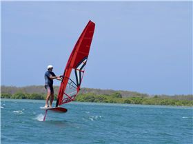 Windsurfing