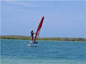 Windsurfing
