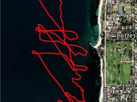 Screenshot 2025-11-08 005125