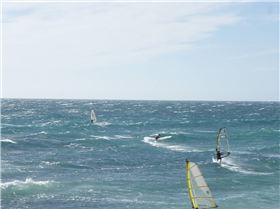 Dunedinite going off as usual