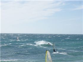 Dunedinite going off as usual