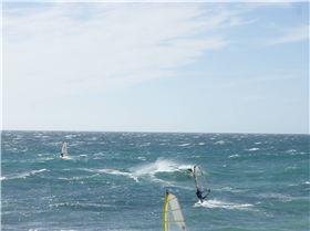 Dunedinite going off as usual