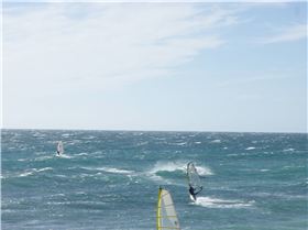 Dunedinite going off as usual