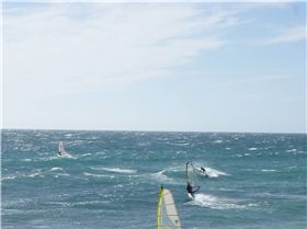 Dunedinite going off as usual