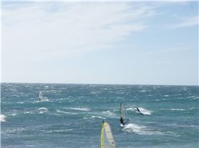 Dunedinite going off as usual