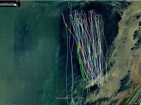 24th jan Budgy 5-12kts - 13-14 puffs level 0.67
