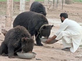 please drop nuke on thses people