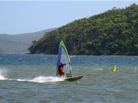 Walpole weekend March 2009