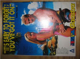 old windsurfing ads