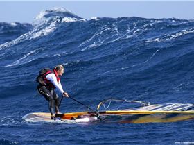 Allison Shreeve - Bass Strait