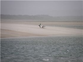 The East Stanley Speed run Mar 31 2009