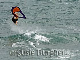 Chris Hale on the weekend