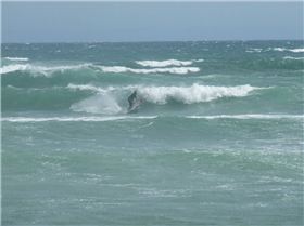 GAZZZZZA  and GREG  BURROWS  Olderrr cool schoolies show the crew up in the early bash