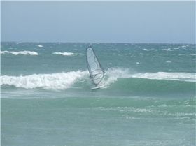 Olderrr cool schoolies show the crew up in the early bash