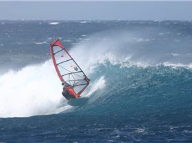 2oo7 kotp / ant allie