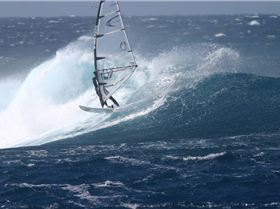 2oo7 kotp / ant allie