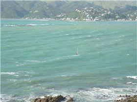 Plimmerton, Wellington, NZ