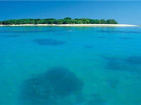 Lady-Musgrave-Island 015299