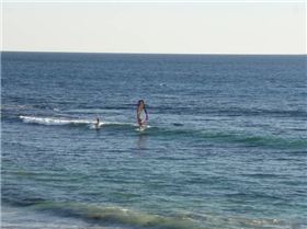 Bertie light wind wave sailing