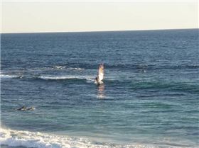 Bertie light wind wave sailing