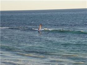 Bertie light wind wave sailing