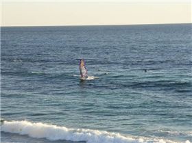 Bertie light wind wave sailing