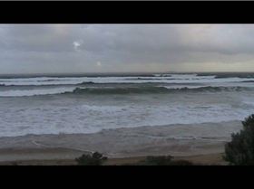 rid15 lid22 05032009 1the dump