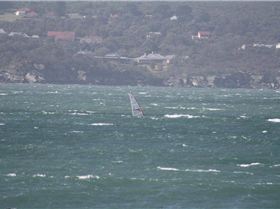 Balmoral WIndsurfing
