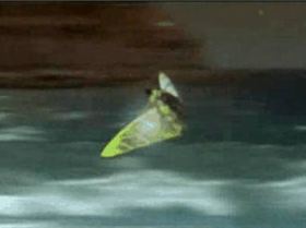 ScreenHunter 05 May. 28 10.18