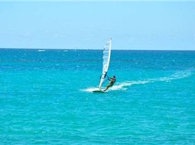 n742085789 7099111 3981826