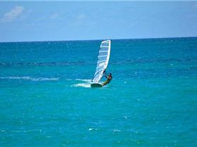 n742085789 7099107 4494767