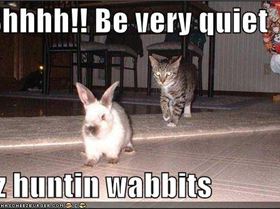wabbits