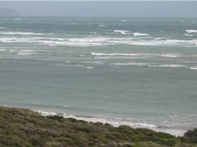 snapper point 2/07/09