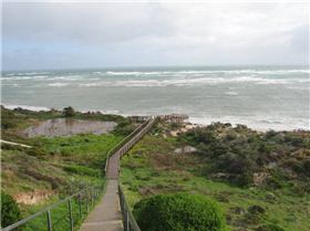 snapper point 2/07/09