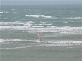 snapper point 2/07/09