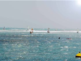 DAY1 CORONATION 30+KNOTS