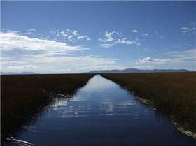 2761495527 1e38c552f1