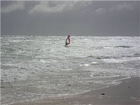 Divaldo - Snapper Sunday Morning