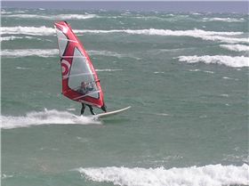 Divaldo - Snapper Sunday Morning