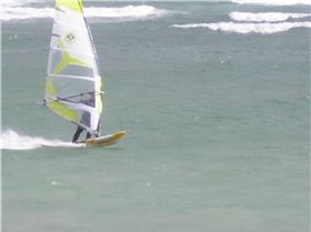 Snapper Sunday Morning