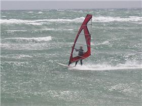 Divaldo - Snapper Sunday Morning