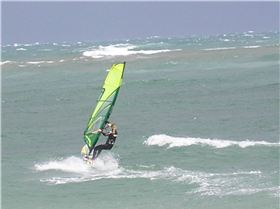 Snapper Sunday Morning