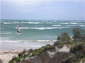 Snapper Sunday Morning